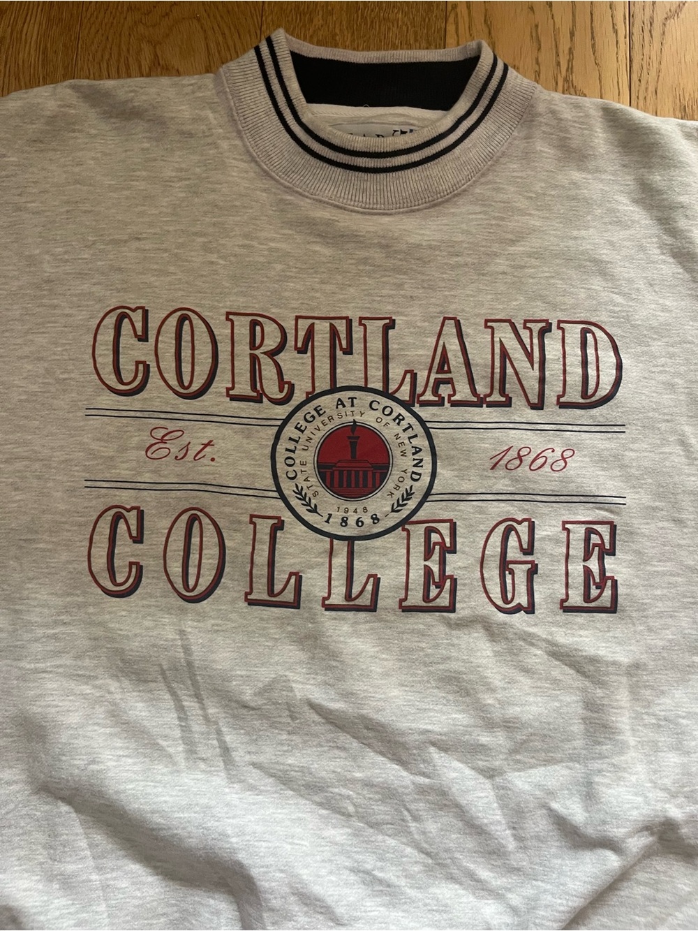 SUNY Cortland Vintage 90s Crewneck Women’s - Large